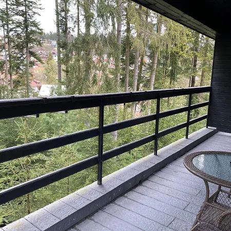 Smart Sinaia